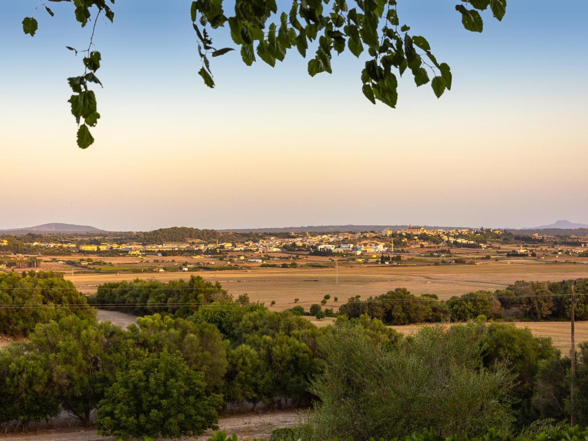 Son Flor Agroturisme Santa Margalida Eksteriør bilde